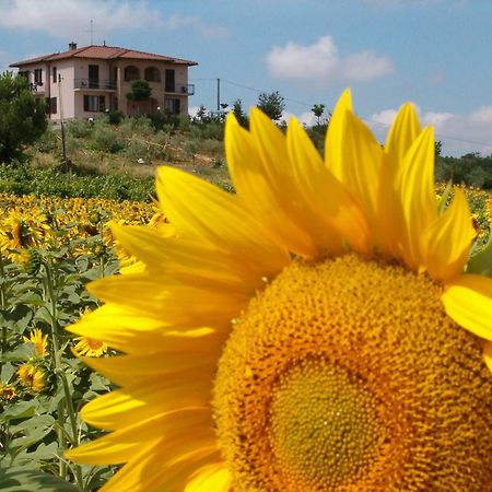 B&B Il Girasole - Rooms & House In Country - 1500 Meters From The City Montepulciano Ngoại thất bức ảnh