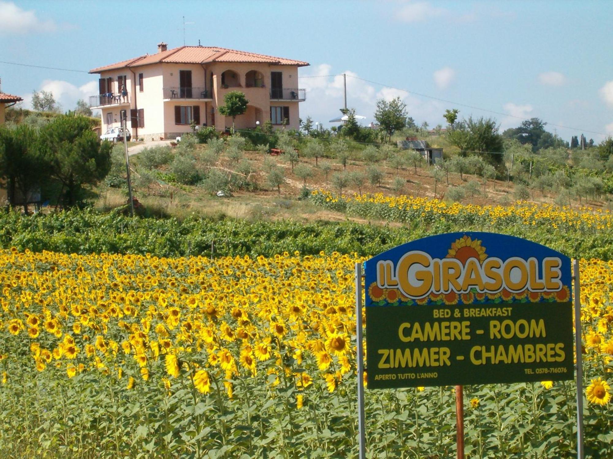 B&B Il Girasole - Rooms & House In Country - 1500 Meters From The City Montepulciano Ngoại thất bức ảnh