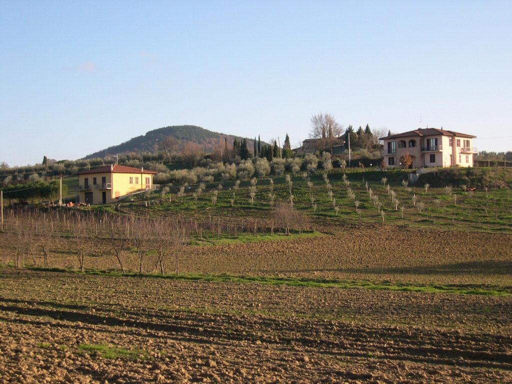 B&B Il Girasole - Rooms & House In Country - 1500 Meters From The City Montepulciano Ngoại thất bức ảnh