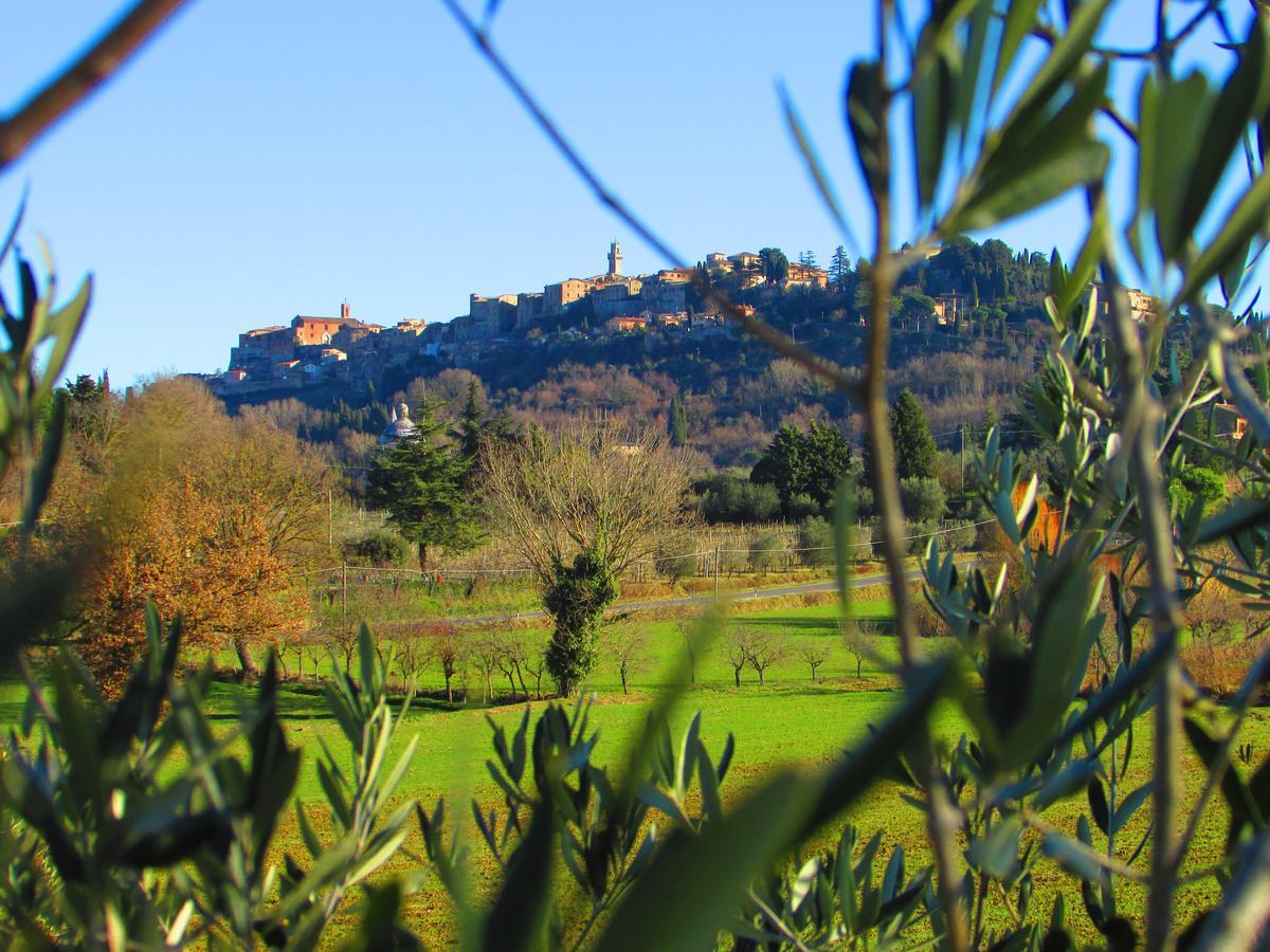 B&B Il Girasole - Rooms & House In Country - 1500 Meters From The City Montepulciano Ngoại thất bức ảnh