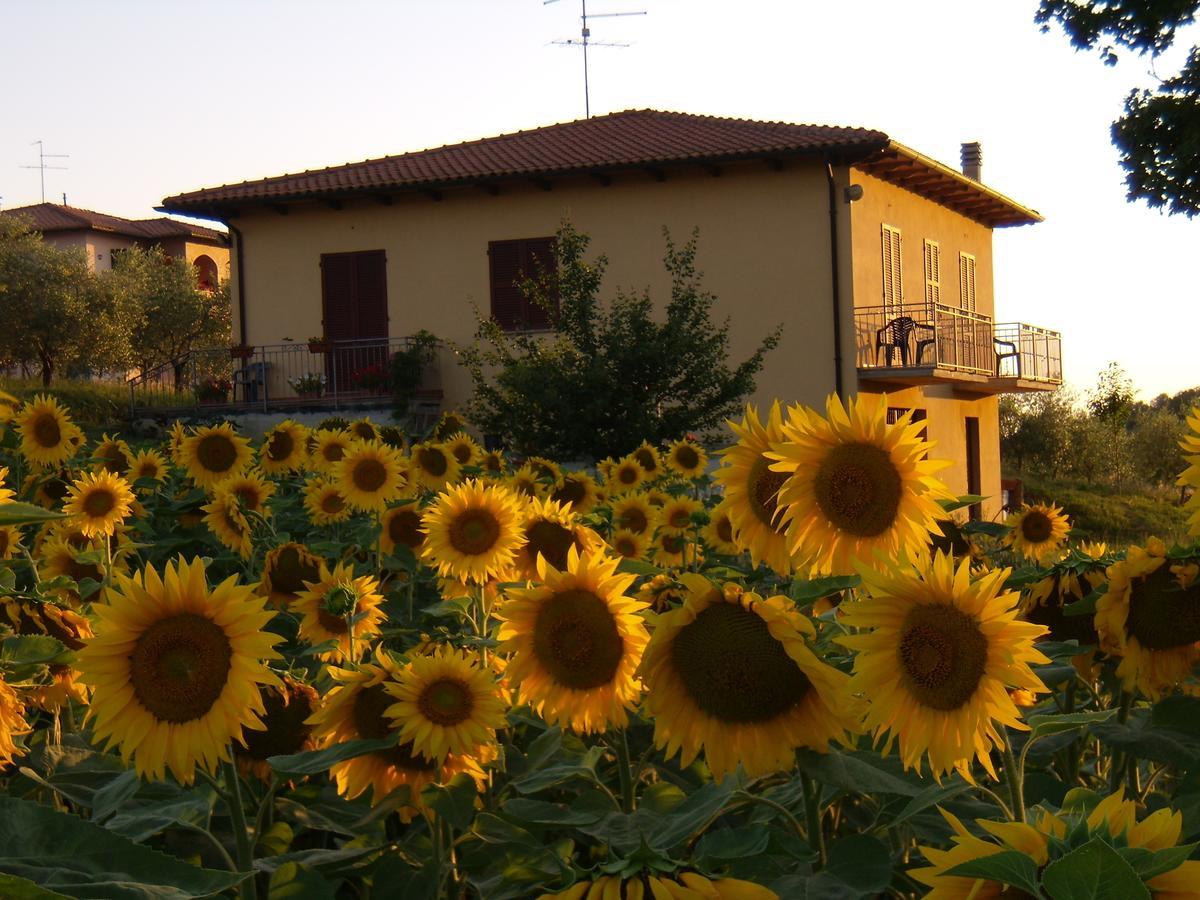 B&B Il Girasole - Rooms & House In Country - 1500 Meters From The City Montepulciano Ngoại thất bức ảnh