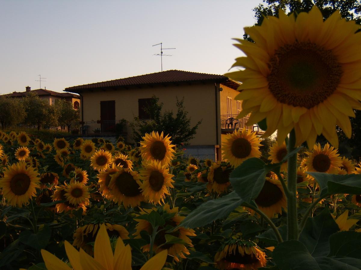 B&B Il Girasole - Rooms & House In Country - 1500 Meters From The City Montepulciano Ngoại thất bức ảnh